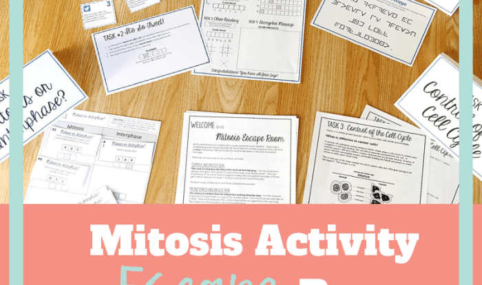 Mitosis and meiosis escape room answer key